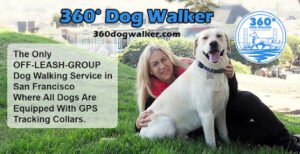 360¬∞ Dog Walker San Francisco CA