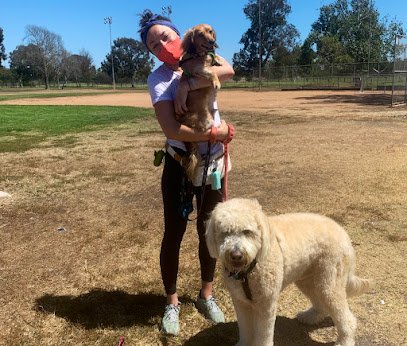Camp Puppies – Dog Walking & Boarding in South Bay