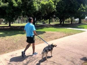 Sir Wags A Lot Inc