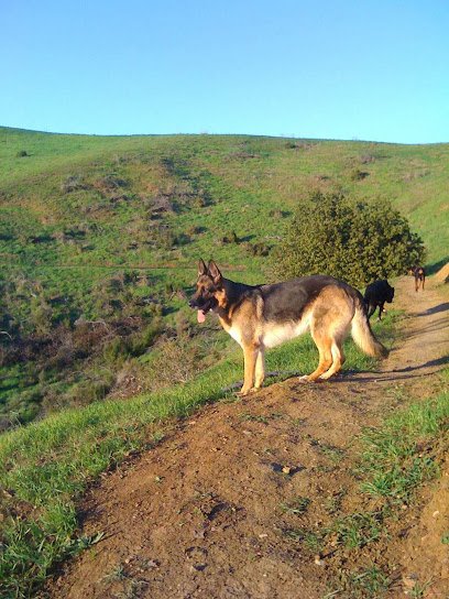 Bow Wow Ventures