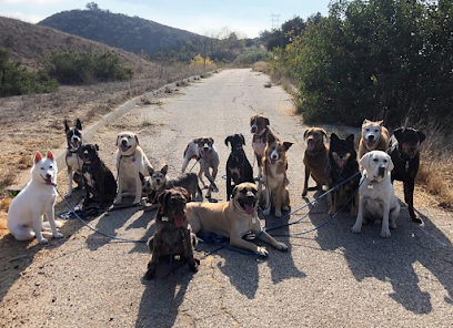 The Dog Hiking Club