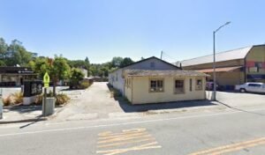 Santa Cruz Dog Walkers – Aptos