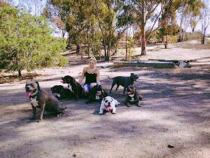 Happy Tails