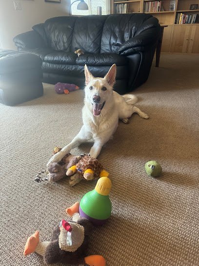 GoodvibeDoggies