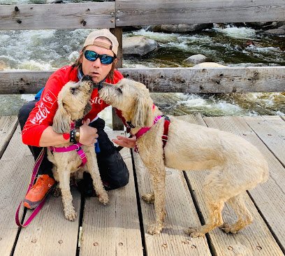 Wags and Wiggles of Aspen