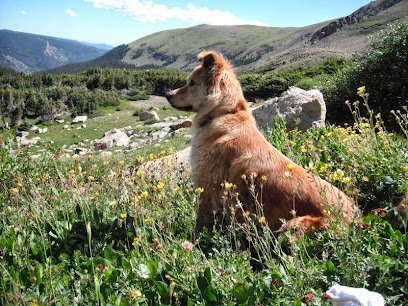 Front Range Pet Pals, LLC