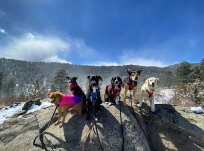 Paws on the peak llc