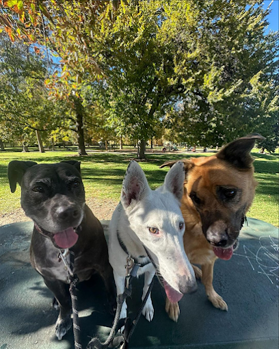 Mile High Canine Pacers