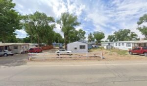 Cortez Dog Walks & Care