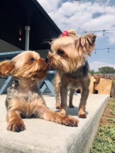Your Best Friend’s Friend – Central Denver