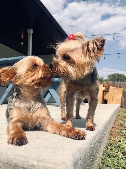 Your Best Friend’s Friend – Central Denver