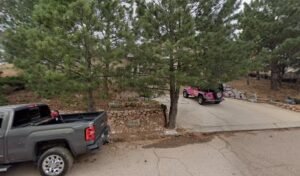 Best Dog Walkers Colorado Springs