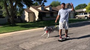 Healthy Dog Walker