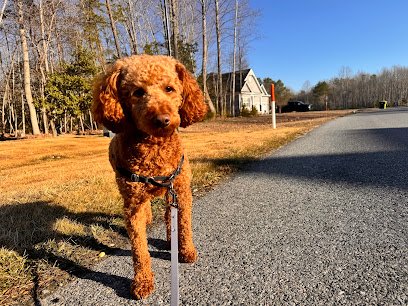 Walk. Wag. Treat. Repeat.