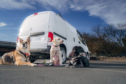 Fido Group