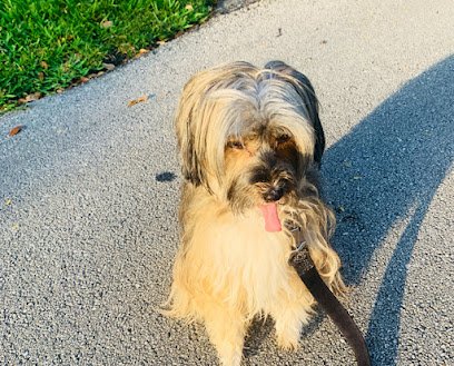 Smooch Your Pooch Petsitting Service, LLC