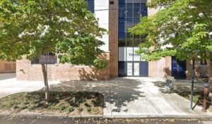 Dog Walking & Pet Sitting St. Petersburg