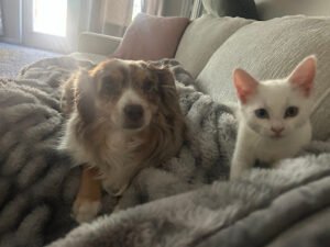 Atlanta Pet Pal