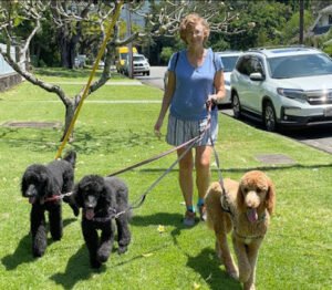 Waikiki Wags LLC