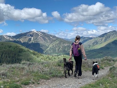 Mountain Canine Adventures LLC
