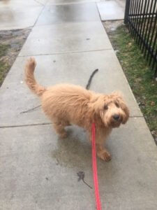 Roscoe Recess