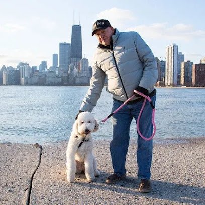 Millennium Dog Walkers & Pet Care in Chicago!
