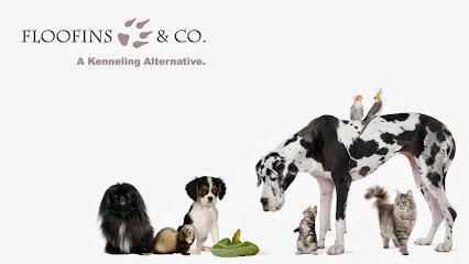 Floofins & Co.