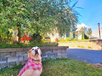 Dog Walking 207 (LLC)