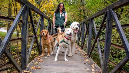 Paw Prints Around Town