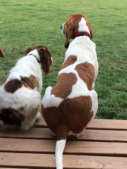 Peace Of Mind Pets LLC