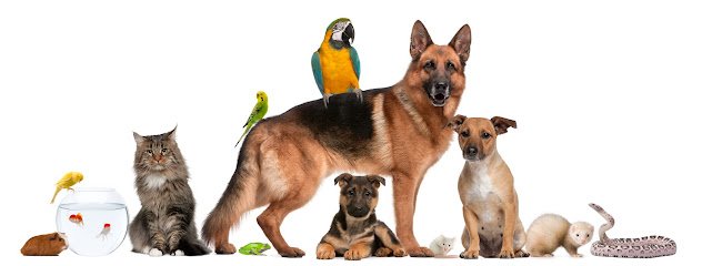 Fur, Fins & Feathers