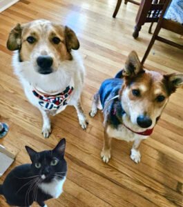 Ashland Pet Concierge