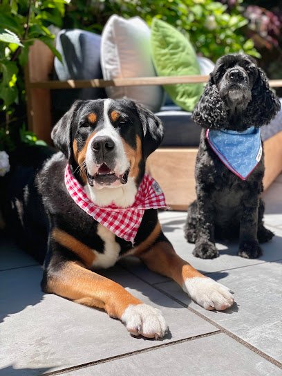 Wannagoout? Dog Walking & Pet Sitting