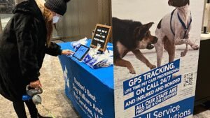 Boston’s Best Dog Walkers and Pet Services, LLC (main)