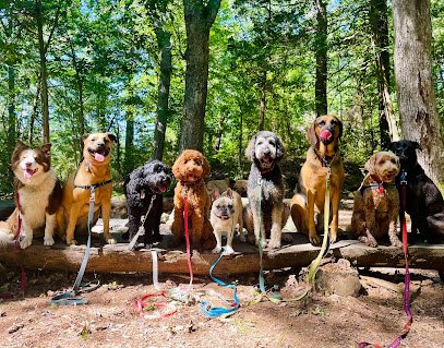 Dogs Go Hiking