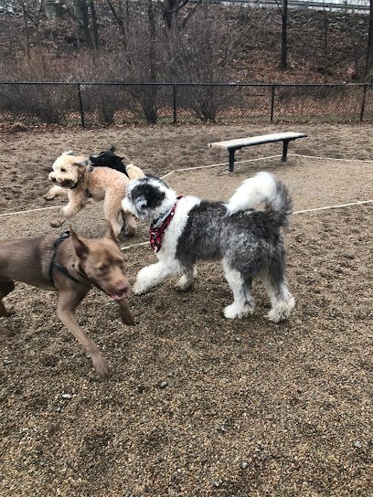 No Dog Too Small…Dog Walking and Pet Sitting,LLC.