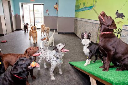 Creature Comforts and Pawsitively Marblehead