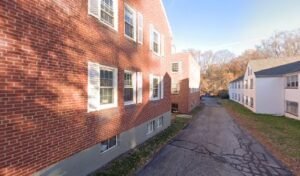 Cristina & Co. Dog Walking, Pet Sitting, Dog Daycare + More!