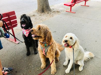 Good Boy Dog Walking & Pet Sitting