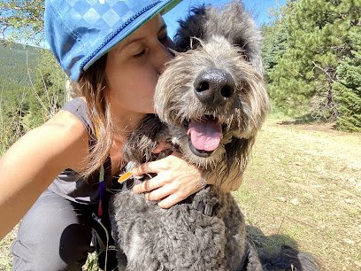 Harriet‚Äôs Hounds: Dog Walking & Pet Sitting