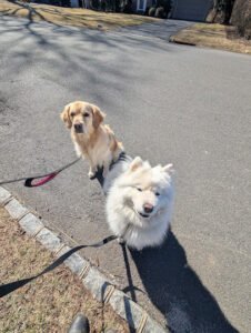 Fur Baby Care NJ