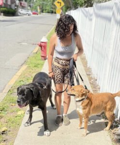 Dogs with Emily