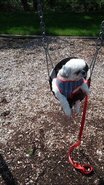 The Doggie Daddy