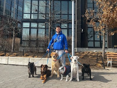 Balanced Dogs