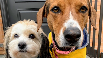 Jason The Dog Walker & Co.