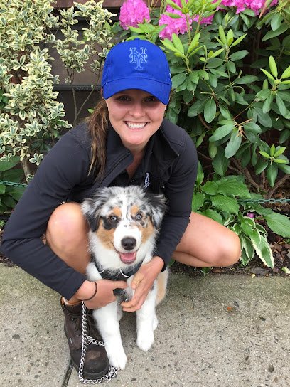 Doggie Do Gooders