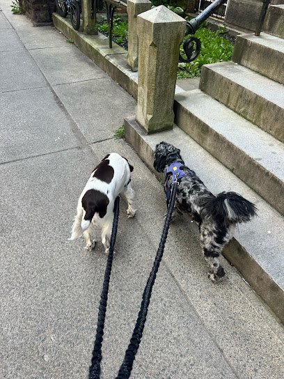 Pets Friend Pet Sitting