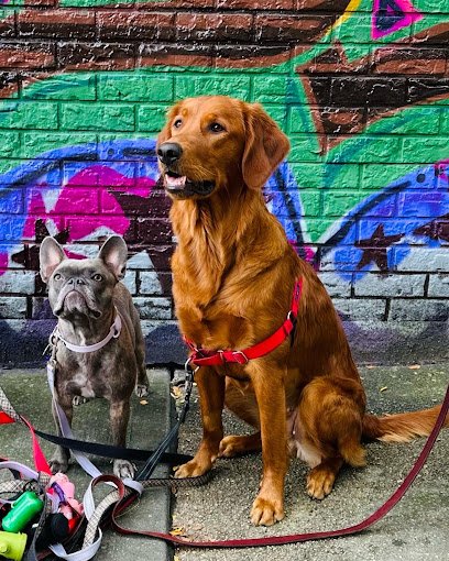NYC Doggystyle