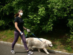 Dan’s Pet Care – Huntington