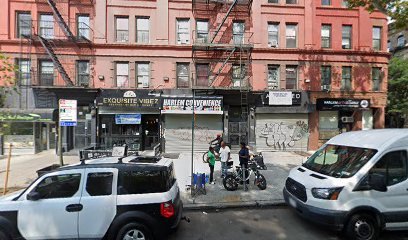 Harlem Dog Walking